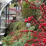 Greenhill Guest house 4*
