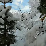 Greenhill 4* Braşov
