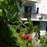 Greenhill Braşov