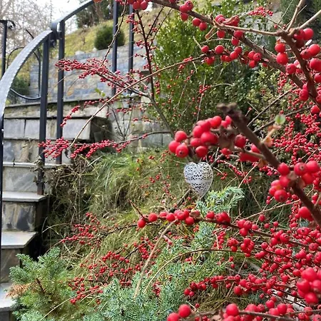 Greenhill בית הארחה 4*