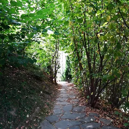 Greenhill בית הארחה בראשוב