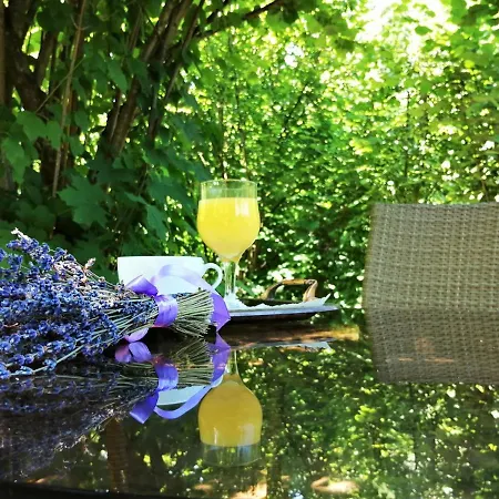 Greenhill Μπρασόβ