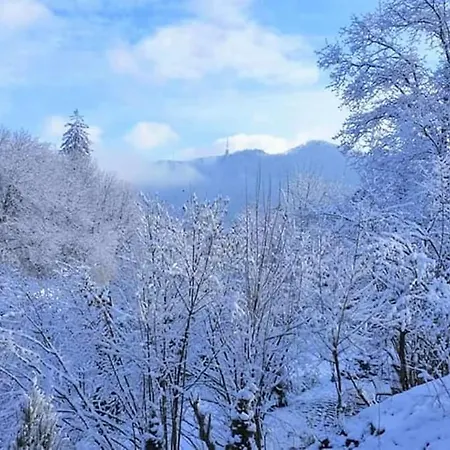 Guest house Greenhill Brasov