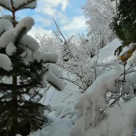 Greenhill 4* Brašov