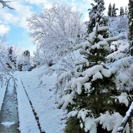 Greenhill בית הארחה