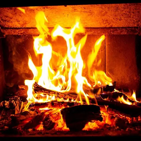 Greenhill בית הארחה בראשוב