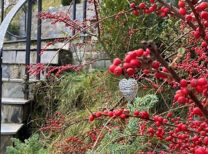 Greenhill Penzion 4*