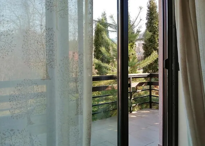 Greenhill Guest house Brasov