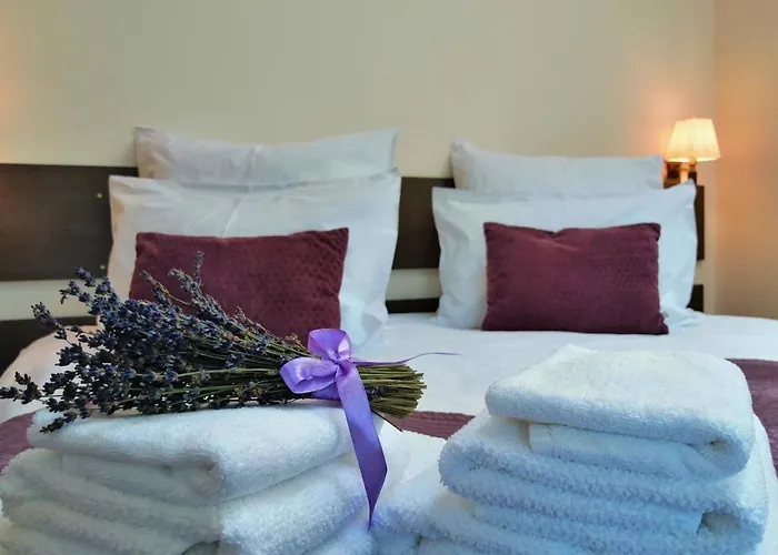 Guest house Greenhill Brasov