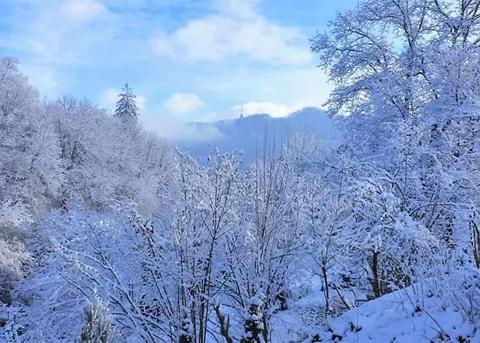 Penzion Greenhill Brašov