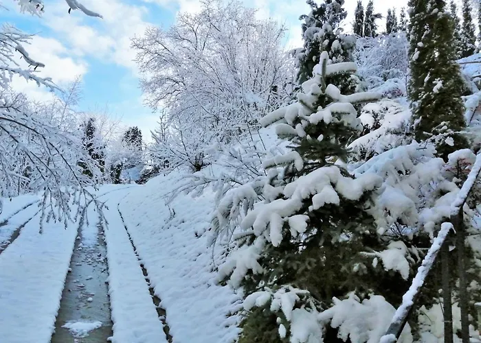 Greenhill Guest house